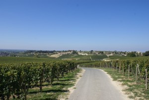 Backroad in the vineyards during a Wine tour Saint Emilion