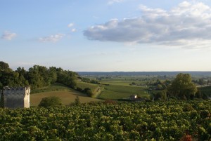 Wine Tour Saint Emilion